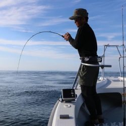 スカイマリン 釣果