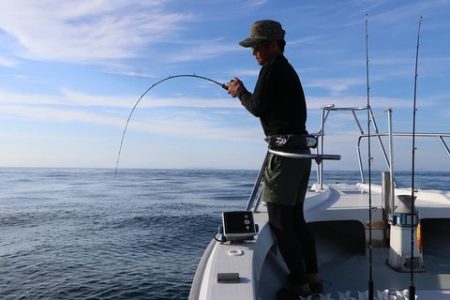 スカイマリン 釣果