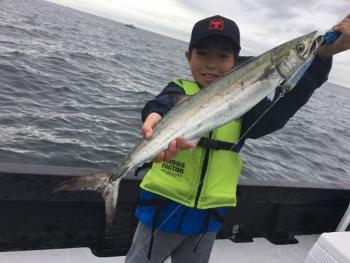 シーマジカル 釣果