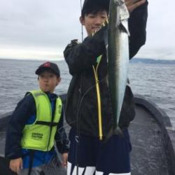 シーマジカル 釣果