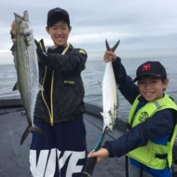 シーマジカル 釣果