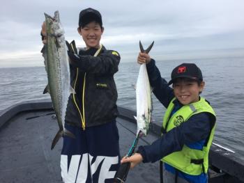 シーマジカル 釣果