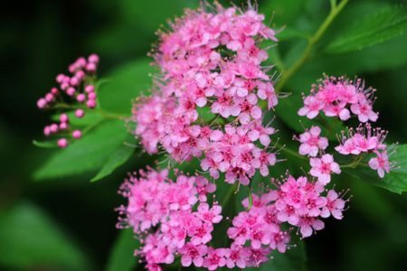 小菅トラウトガーデン 釣果