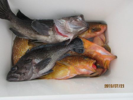 大進丸（新潟） 釣果