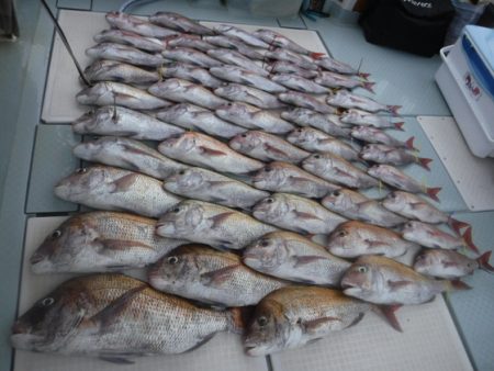 遊漁船 幸友丸 釣果