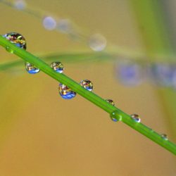 小菅トラウトガーデン 釣果