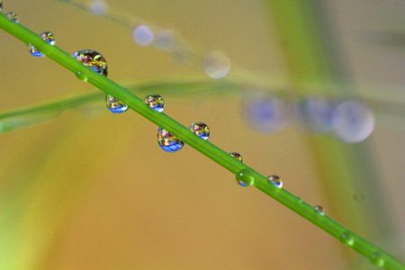 小菅トラウトガーデン 釣果