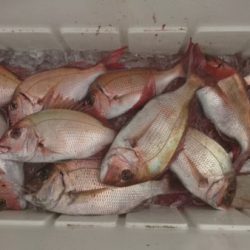 釣り船武蔵 釣果