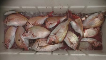 釣り船武蔵 釣果