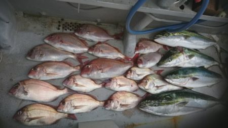 釣り船武蔵 釣果