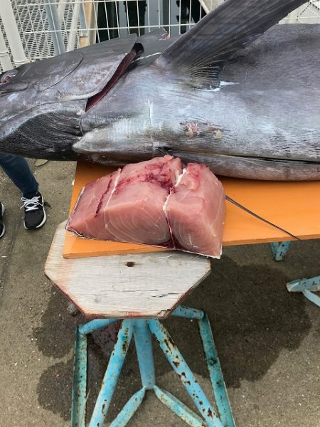 フィッシングボートACE(エース) 釣果