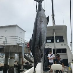 フィッシングボートACE(エース) 釣果