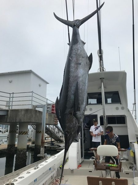 フィッシングボートACE(エース) 釣果