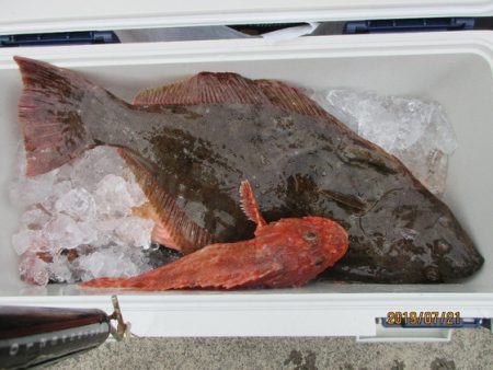 大進丸（新潟） 釣果