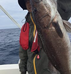 凪紗丸 釣果