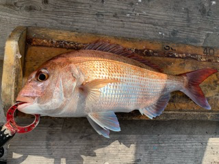幸吉丸 釣果