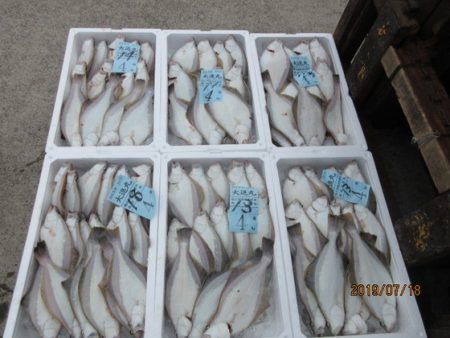 大進丸(新潟) 釣果