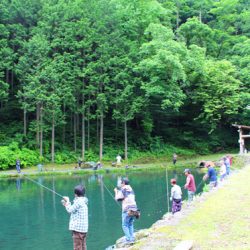 小菅トラウトガーデン 釣果