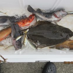 大進丸（新潟） 釣果