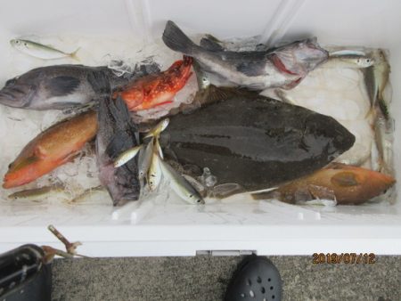 大進丸（新潟） 釣果