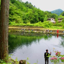 小菅トラウトガーデン 釣果