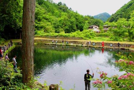 小菅トラウトガーデン 釣果