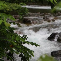 小菅トラウトガーデン 釣果