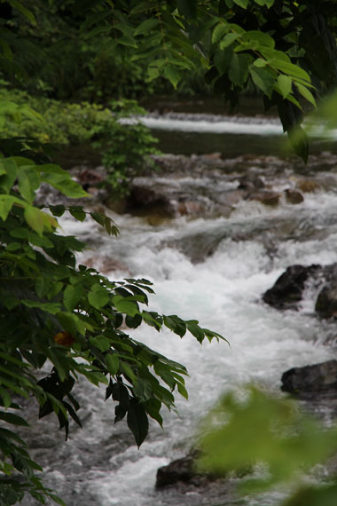 小菅トラウトガーデン 釣果