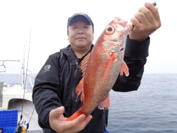 鯛紅丸 釣果