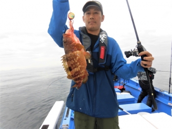 鯛紅丸 釣果