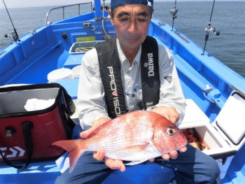 鯛紅丸 釣果