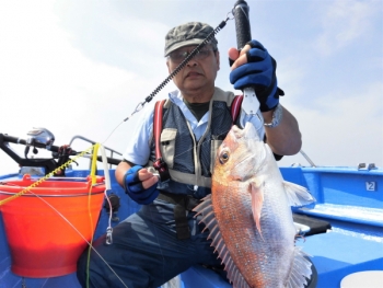 鯛紅丸 釣果