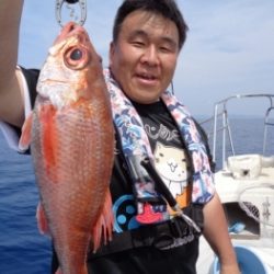 鯛紅丸 釣果