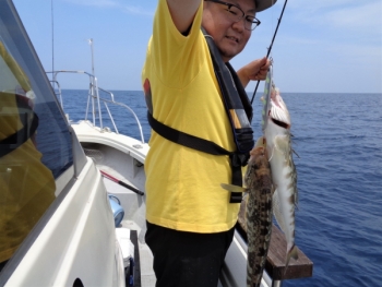 鯛紅丸 釣果