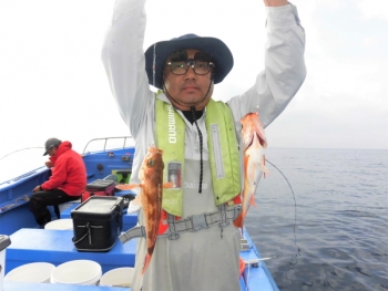 鯛紅丸 釣果