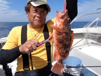 鯛紅丸 釣果