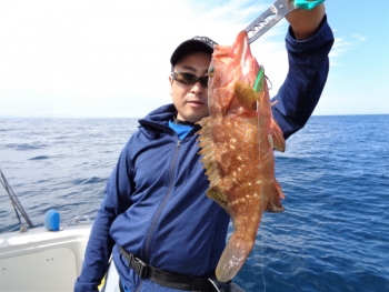 鯛紅丸 釣果