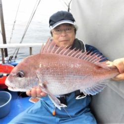 鯛紅丸 釣果