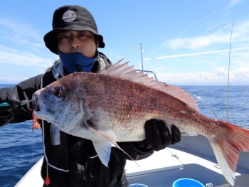 鯛紅丸 釣果