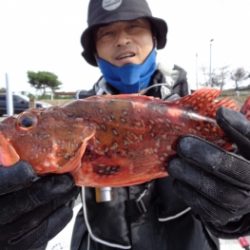 鯛紅丸 釣果