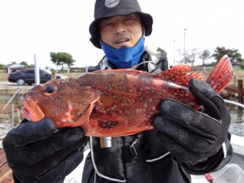 鯛紅丸 釣果