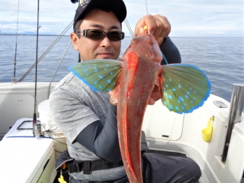 鯛紅丸 釣果
