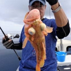鯛紅丸 釣果