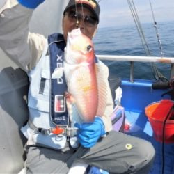 鯛紅丸 釣果