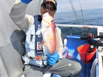 鯛紅丸 釣果