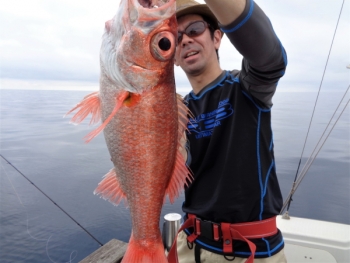 鯛紅丸 釣果