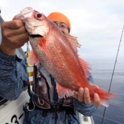 鯛紅丸 釣果
