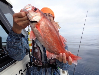鯛紅丸 釣果
