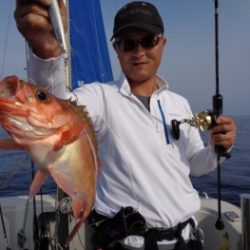 鯛紅丸 釣果