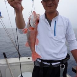 鯛紅丸 釣果